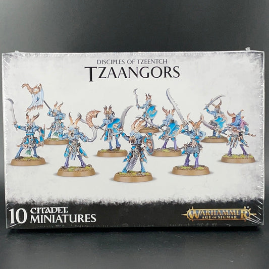 DISCIPLE OF TZEENTCH: TZAANGORS