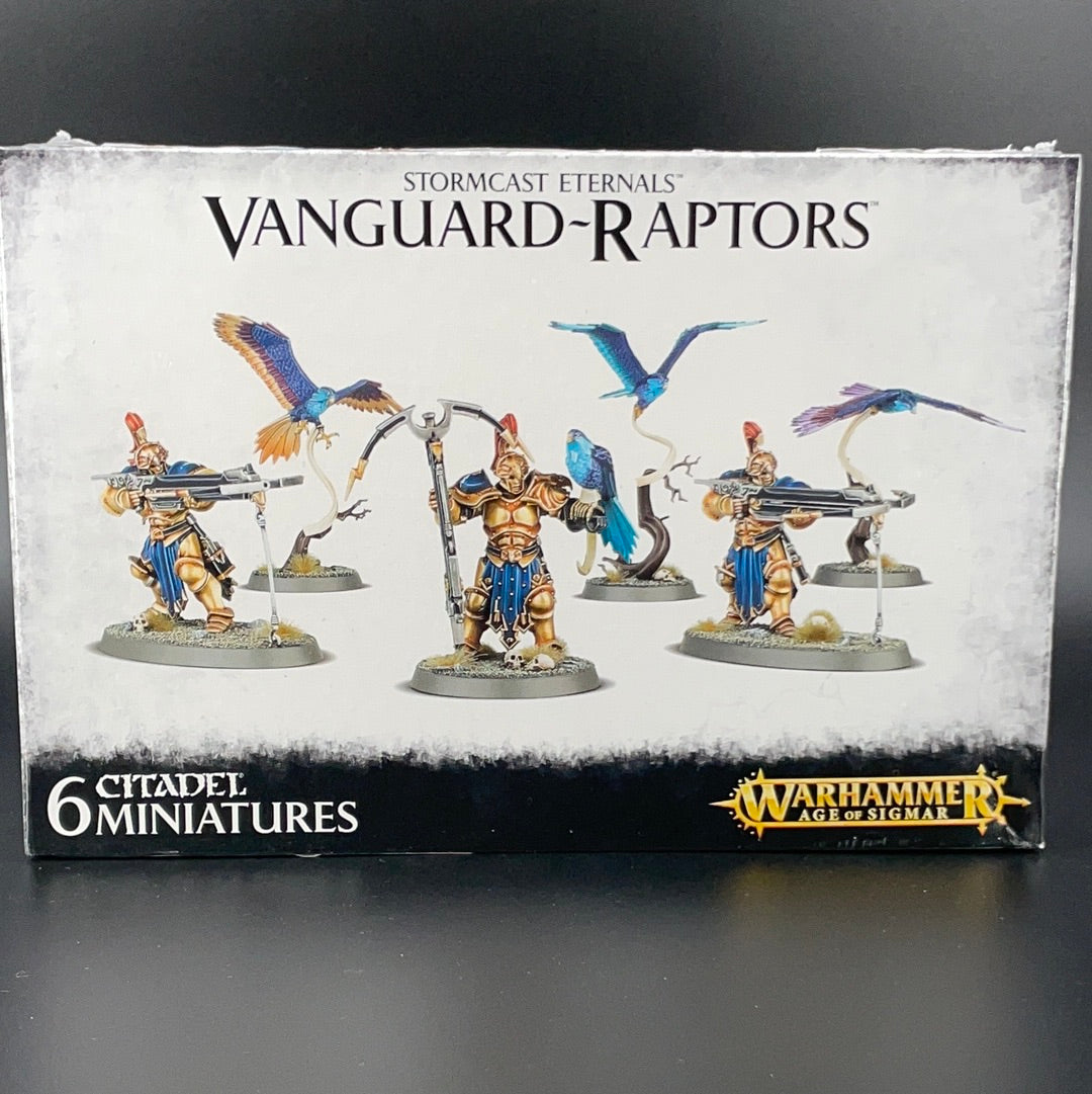 STORMCAST ETERNALS: VANGUARD-RAPTORS