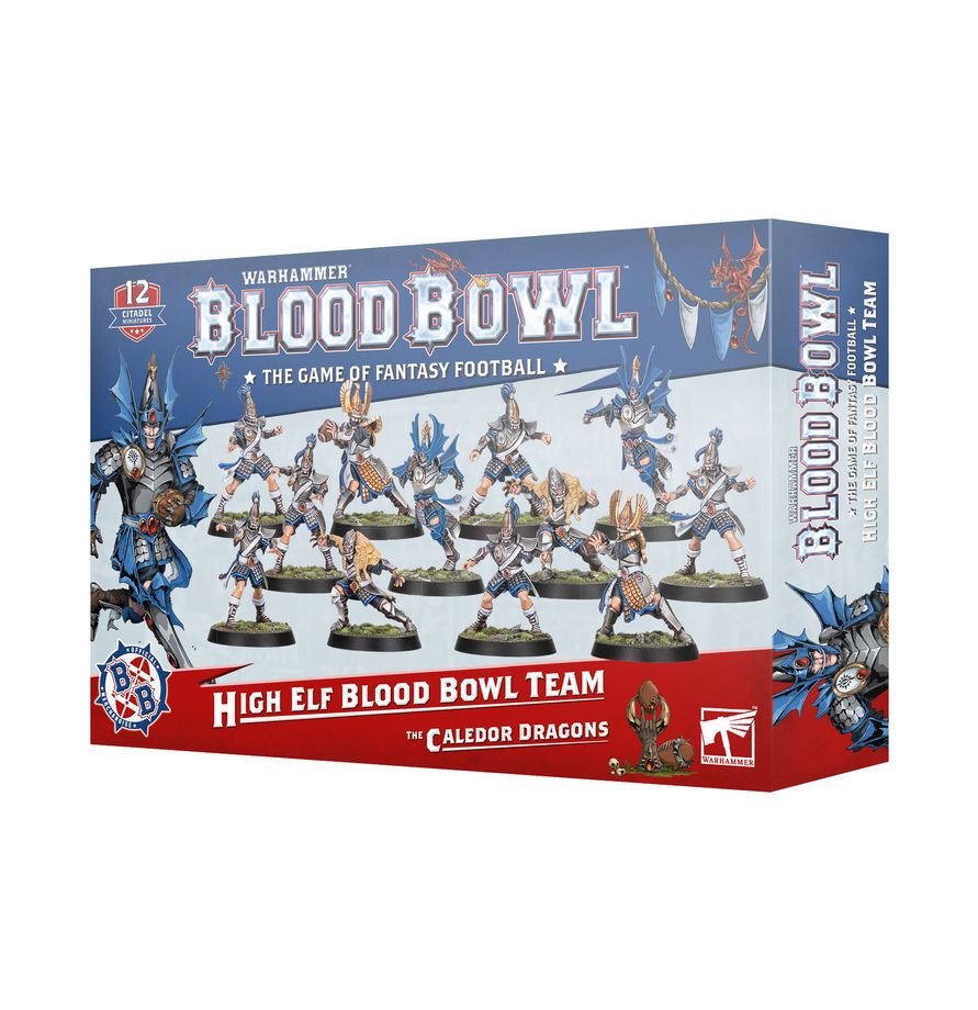 BLOOD BOWL TEAM: HIGH ELF