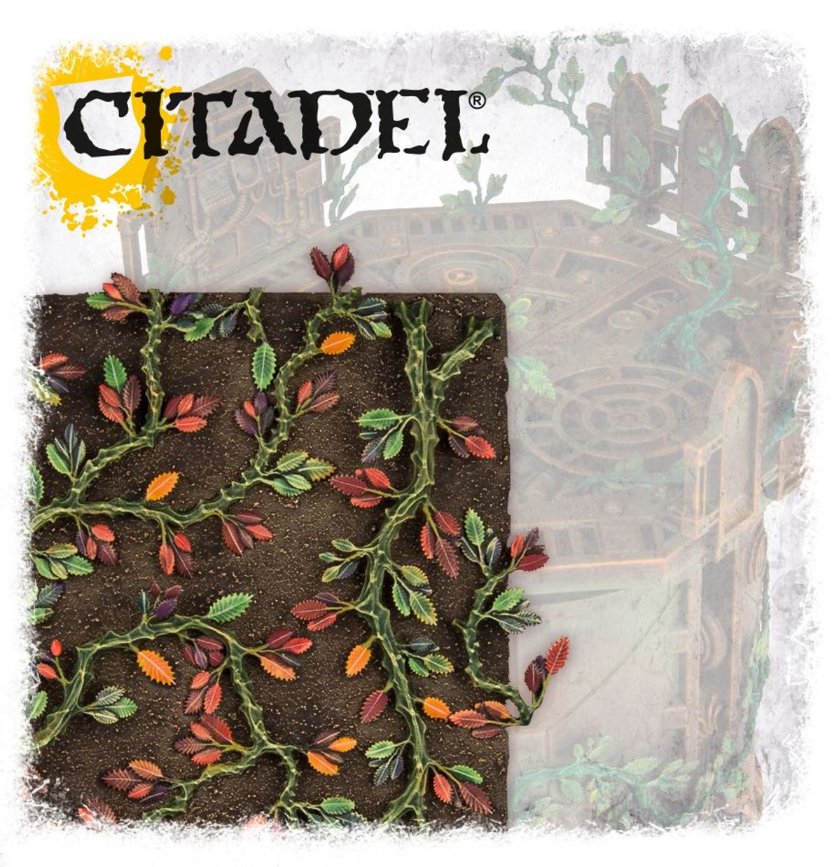 CITADEL CREEPING VINES