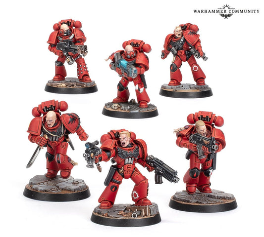 SPACE MARINE HEROES BLOOD ANGELS COLLECTION TWO